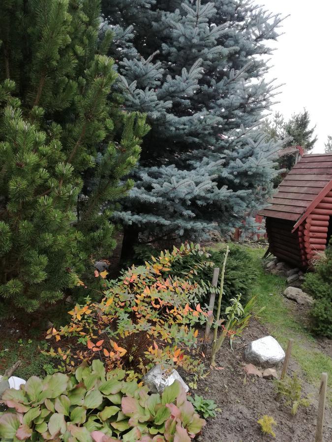 Guest House Uyutnyy 브레스트 외부 사진